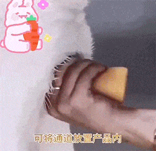 CL_20230119_045826.gif